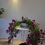 Дом отдыха Casa Xica *