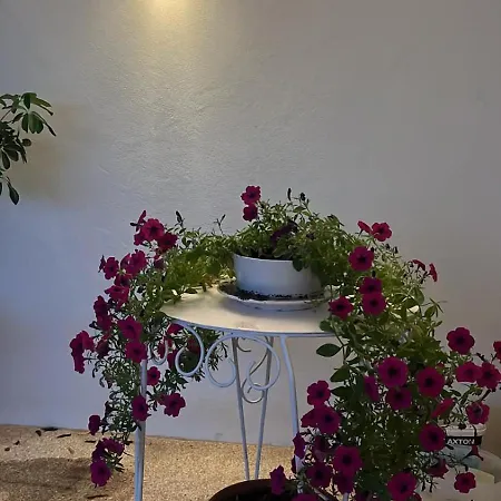 بيت للعطل Casa Xica *
